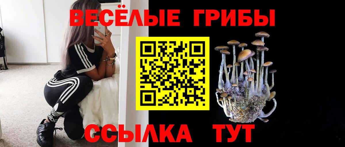что такое наркотик  Псилоцибиновые грибы Psilocybine cubensis  Вход с VPN  Черногорск 
